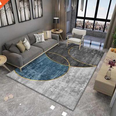 Carpets for Living Room Decoration Washable Floor Lounge Rug