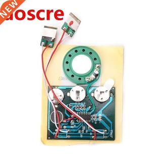 30S Double Button Voice Music Recordable Recorder Board for