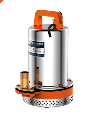 DV 12V 10W DC submersible pump electric vehicle battery pu