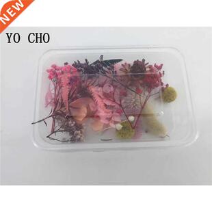 1 Box Real Dried Fresh Eternal Flower Dry Plant Aromatherap