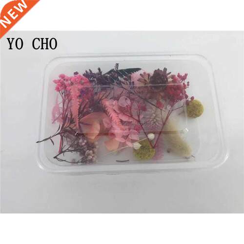 1 Box Real Dried Fresh Eternal Flower Dry Plant Aromatherap