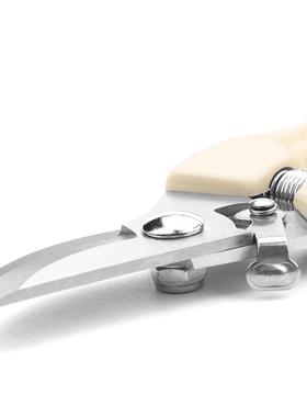 Stainless Steel Pruning Shears Branch Shears Picking Fruit F