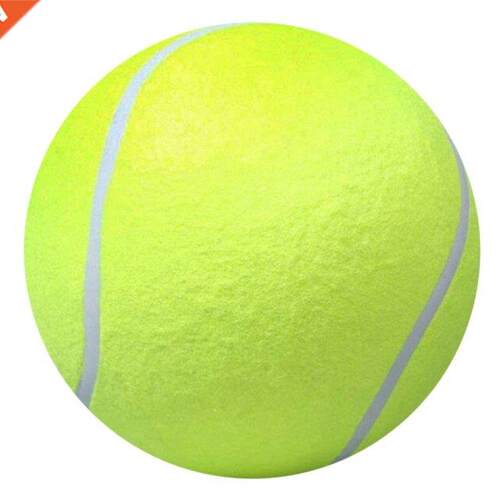 Funny Design 9.5 Inch Pets Dogs Play Toys Portable Outdoor P