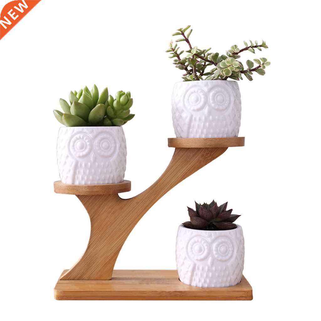 Cute Owl Pot Succulent Cactus Planter Flowerpot Set Wth Bam