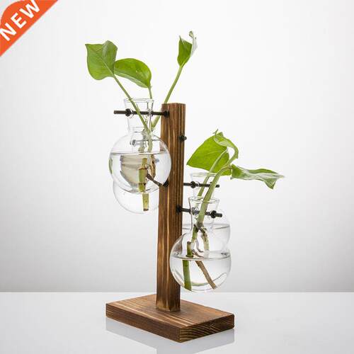 Terrarium Hydroponic Plant Vases Vintage Flower Pot Transpar