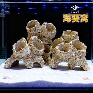 锐焦奶嘴海葵山窝珊瑚防跑躲避罐支架基座爪哇基拉戈干岩石造景