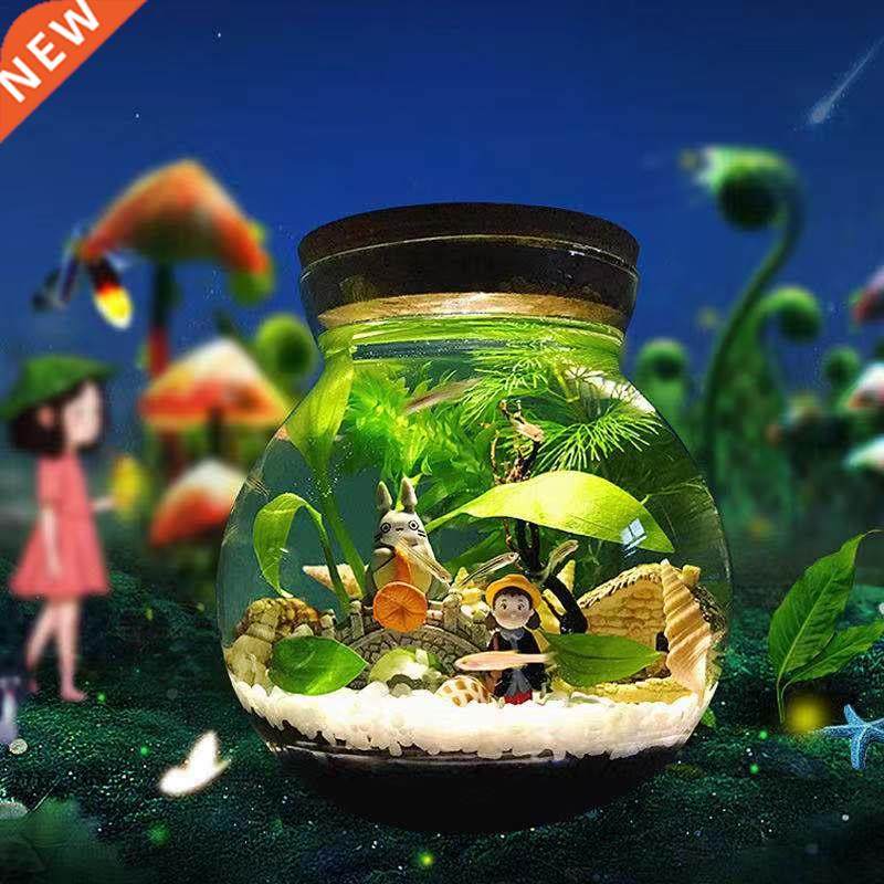 aquarium small fish tank micro-view viewing aquarium landsca