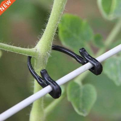 100Pcs Tomato s Trellis Garden Vegetable Binder Twine Plan