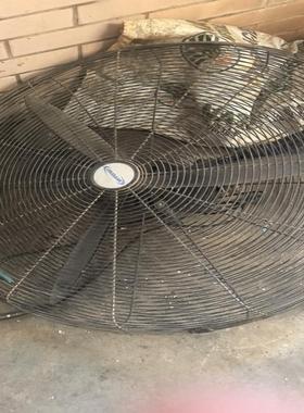 工业用超大挂墙风扇，直径80cm，XINFENG品牌(议价）