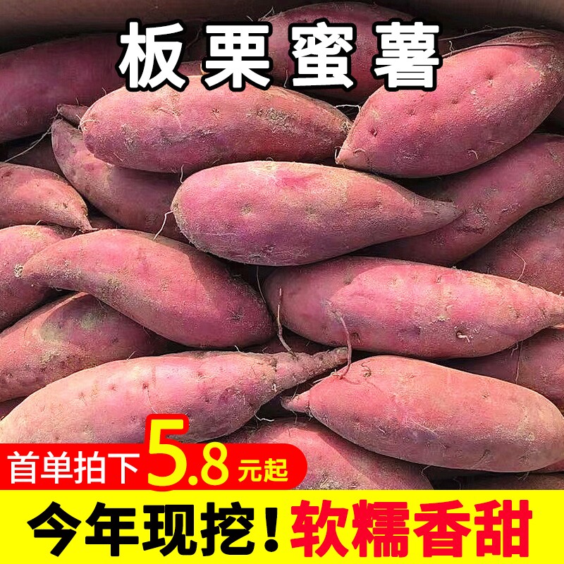 红薯新鲜板栗薯沙地蜜薯糖心9斤农家自种番薯地瓜黄心烟薯5山芋10