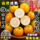 整箱 包邮 广西脆皮金桔10斤新鲜橘子水果当季 纯甜蜜小金柑孕妇融安