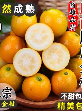 广西脆皮金桔10斤新鲜橘子水果当季纯甜蜜小金柑孕妇融安包邮整箱