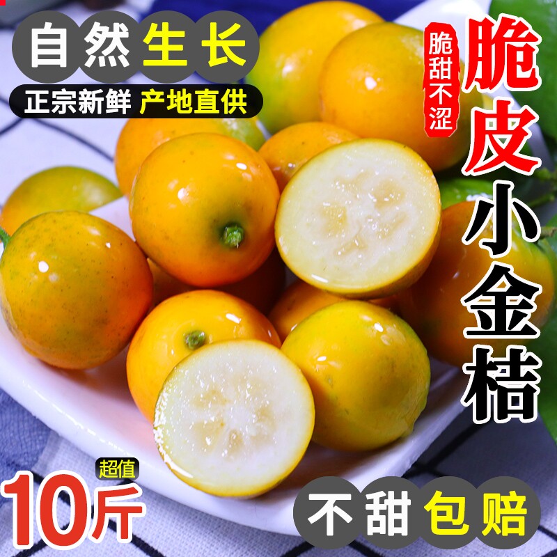 广西脆皮金桔小金桔10斤新鲜水果当季橘子砂糖柑桔甜蜜孕妇整箱