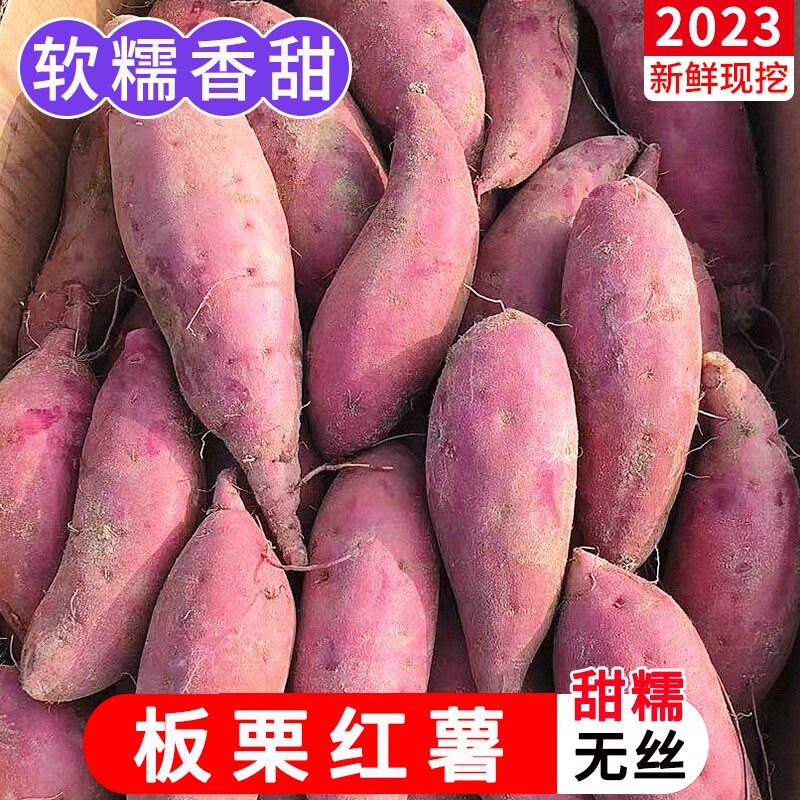 西瓜红蜜薯糖心板栗红薯新鲜10斤番薯农家自种地瓜沙地六鳌蜜薯5