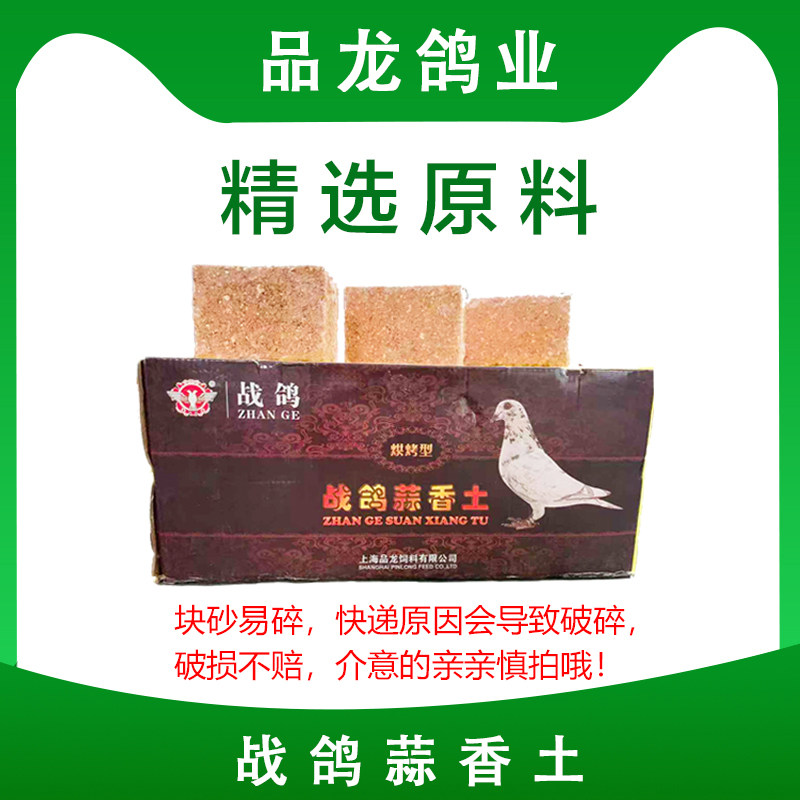 香土鸽子战鸽蒜香土信鸽