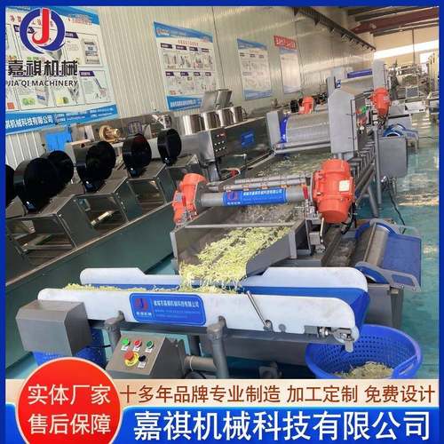 西蓝花散花清洗机全自动涡流清洗机设备不锈钢韭黄清洗机厂家