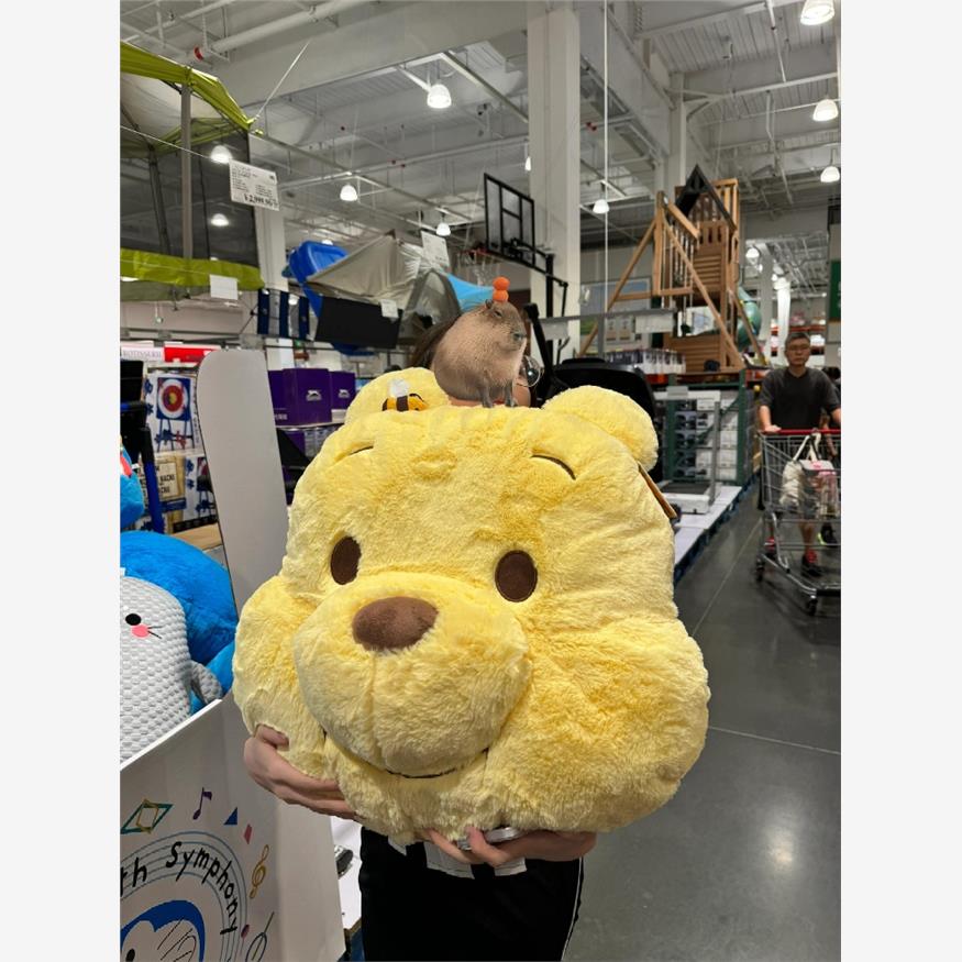 抱枕公仔可爱女生睡觉专用靠枕维尼小熊卡通靠垫大号超软毛绒玩偶