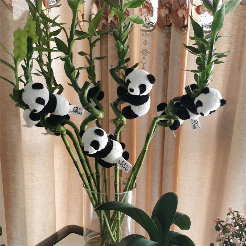 抱抱熊猫挂件爬树装饰小玩偶真夹子竹子富贵竹装饰公仔玩具挂饰