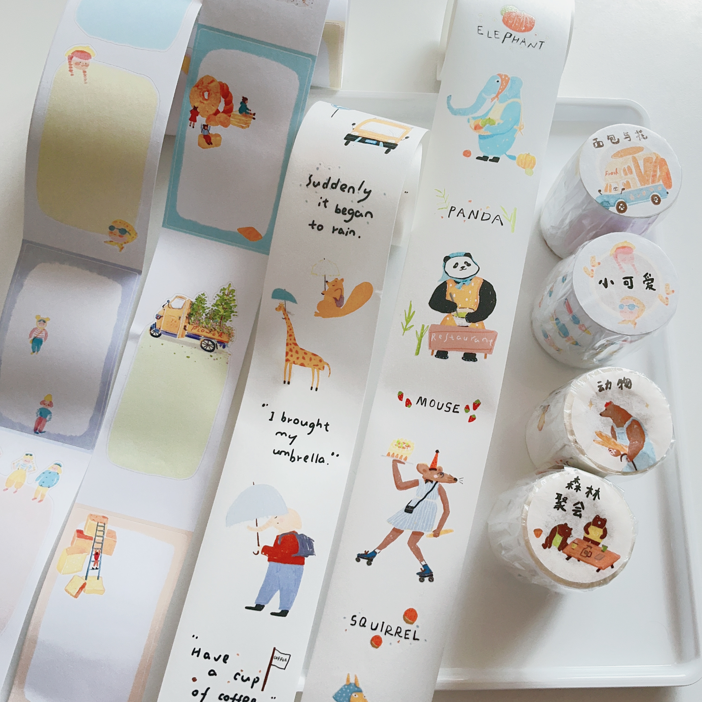 两只浣熊可书写纸和纸胶带已切膜