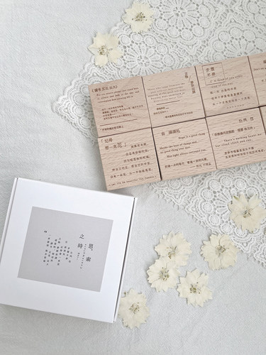 两只浣熊树脂易清理印章新品