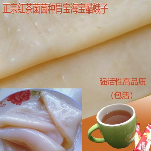正宗红茶菌/老胃宝/手工制作茶饮