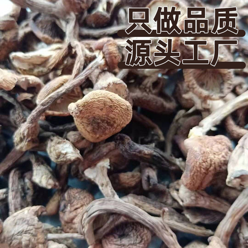 辽宁土特产香菇干货榛蘑东北正宗蘑菇菌菇 小鸡炖香菇头 优质新货