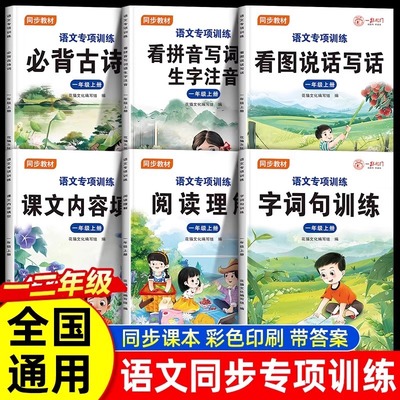 语文同步专项训练教材全国通用