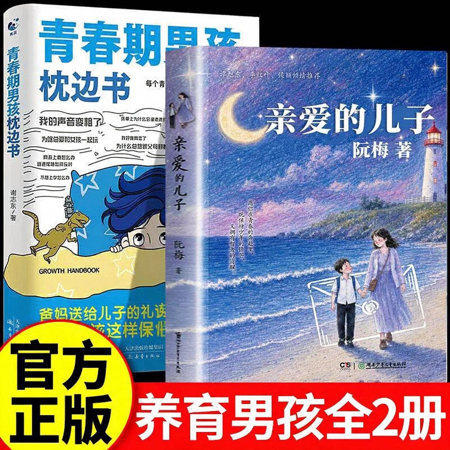 【抖音同款】亲爱的儿子女儿青少年心理健康亲子关系指南给青春期成长家庭教育书信体亲子沟通与成长集解决中国式家长表达失语症