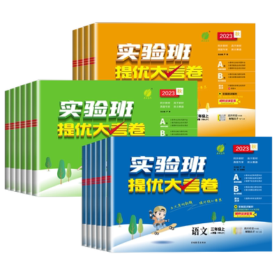 实验班提优大考卷小学学霸全优上