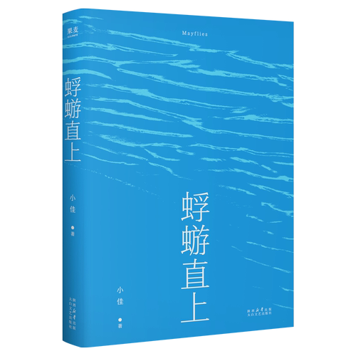 小佳散文集蜉蝣直上正版