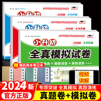 小升初真题卷2024语文数学英语全套小学毕业升学全真模拟试卷精选分类卷六年级下册试卷测试卷全套人教版总复习必备必刷题专项训练