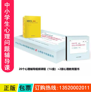 2册心理图书籍 正版 1U盘 中小学生心理问题辅导课程与心理教学技能提升 包发票