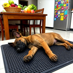 马犬幼犬活物聪明霸气看家犬真狗狗幼宠猎犬工作犬爆红狗猛犬警犬