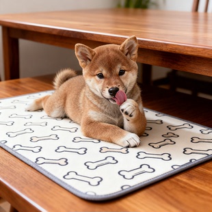柴犬幼犬短毛精品单血统狗赤柴日本黄色豆可爱中型犬狗狗正宗赤色
