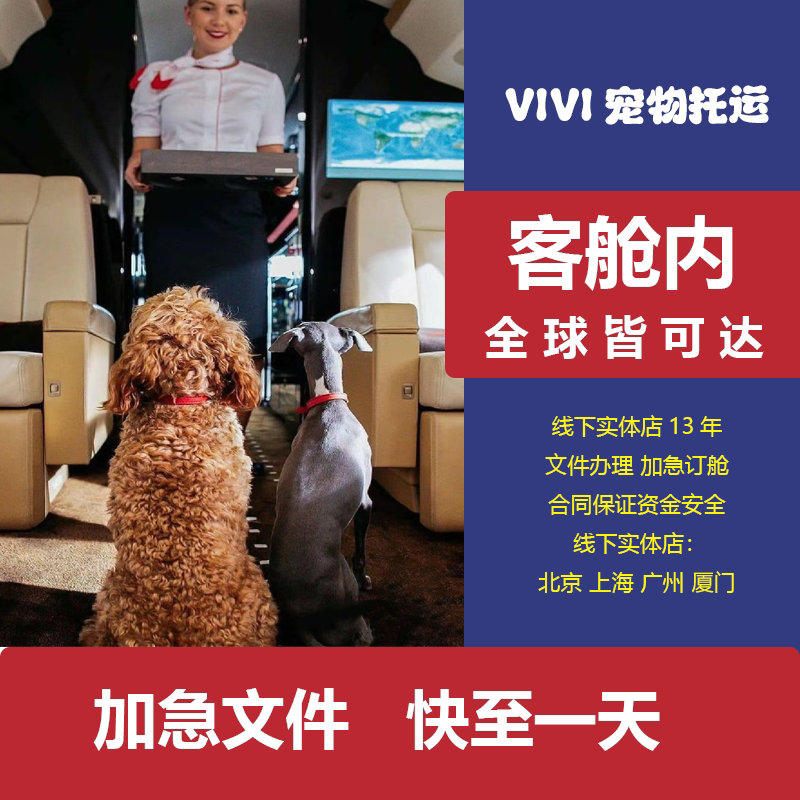 国际宠物托运猫咪出国狗狗回国运输文件办理上门清关检疫全国邮寄