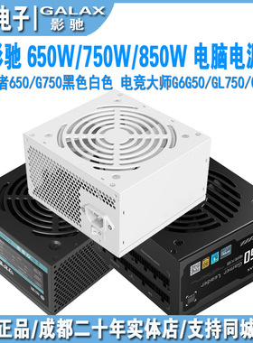 影驰gm650/gm750/gl650/gl750/金属大师GL850白色 金牌全模组电源