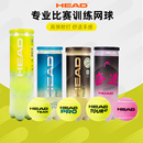 HEAD TEAM高弹耐打专业比赛网球 海德网球黄金球TOUR XT胶罐3粒装