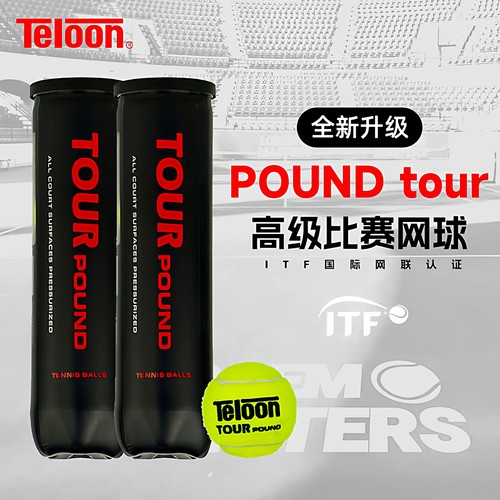 Teloon/天龙比赛用球网球