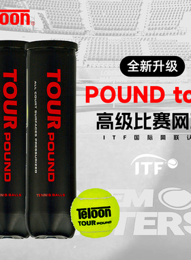 Teloon天龙网球 POUND4成人专业比赛训练罐装网球弹跳好桶装P4