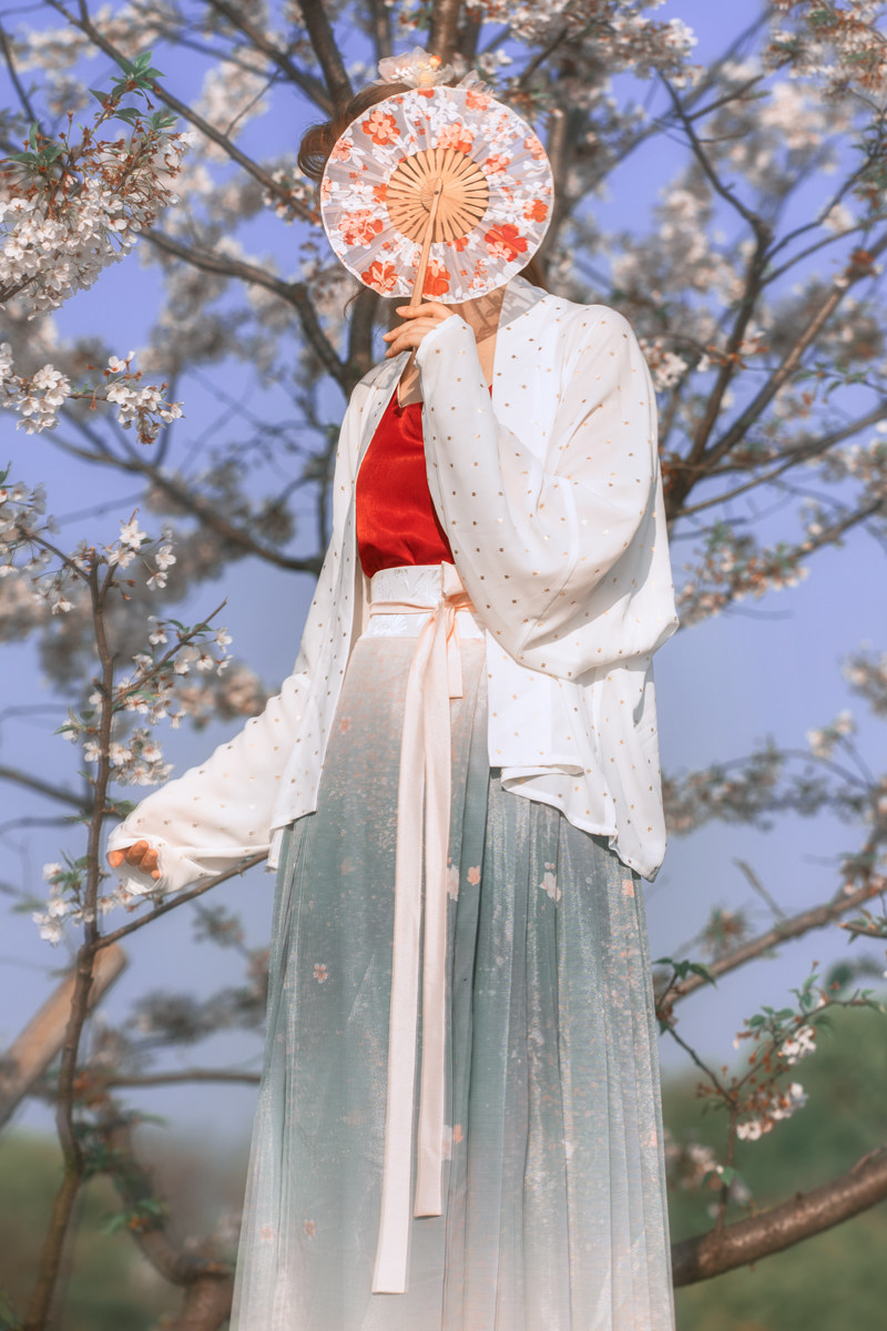 飞机袖百迭裙渐变宋制汉服现货