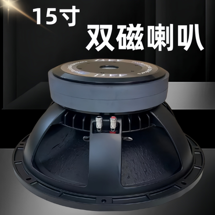 15寸中低音喇叭双磁460磁100芯户外婚庆演出舞台专用大功率900W