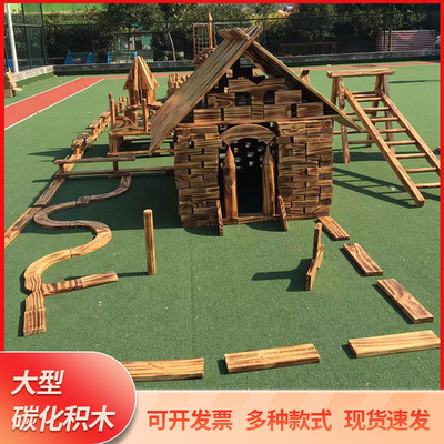 大型幼儿园搭建户外碳化