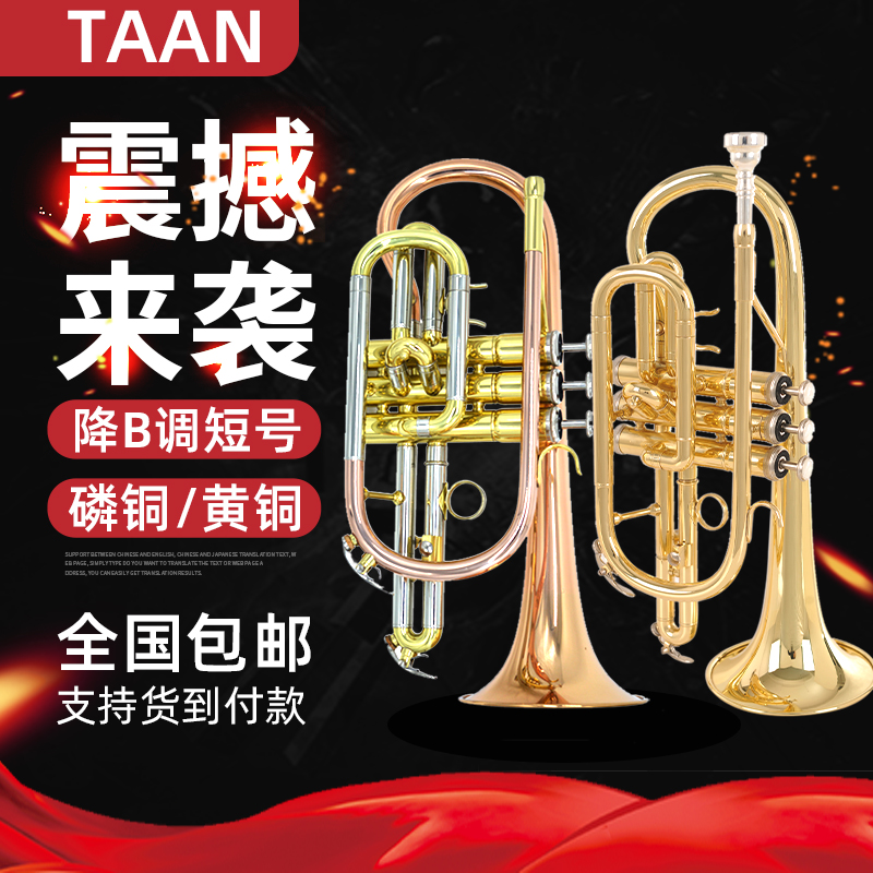 原装taan短号材质演奏考级乐器