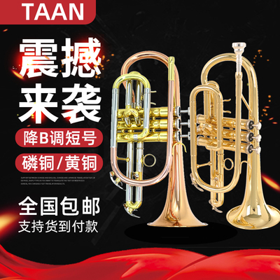 原装taan短号材质演奏考级乐器