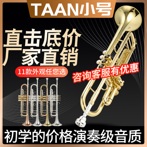 TAAN小号正品降B调演奏考级乐团
