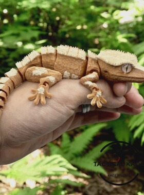 DIY定制-Crested Gecko 睫角守宫 仿生关节可动逼真科教模型标本