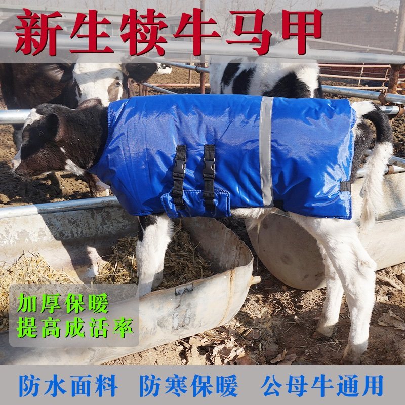 新生小牛保暖加厚可用外套母牛加绒棉衣牛用牧牛冬装防潮保温马甲,畜牧/养殖物资,畜牧/养殖器械,淘宝优惠券,粉丝福利购,淘宝优惠卷