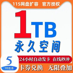 【1TB自动发卡】115空间卡115网盘扩容1TB空间可叠加购买