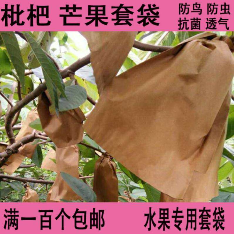 水果套袋纸袋透气果树葡萄简单保护罩水果袋种植包装防病火龙果露|ruв категории доставка цветов/цветок моделирования/растения садоводства, садовых принадлежностей, других садовых принадлежностей - от Buy2taobao.com для оказания профессиональной услуги покупки агента Taobao