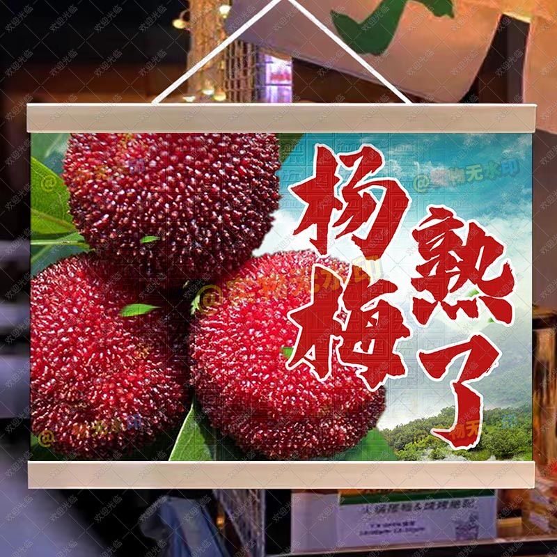 新鲜现摘杨梅摆摊夜市广告布大排档挂画摆摊小推车背景布地摊